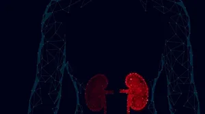 Graphic of two red, digital-style kidneys against a dark background with faint blue network patterns.