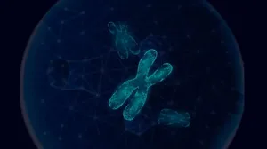 Glowing blue chromosomes inside a networked, spherical cell structure