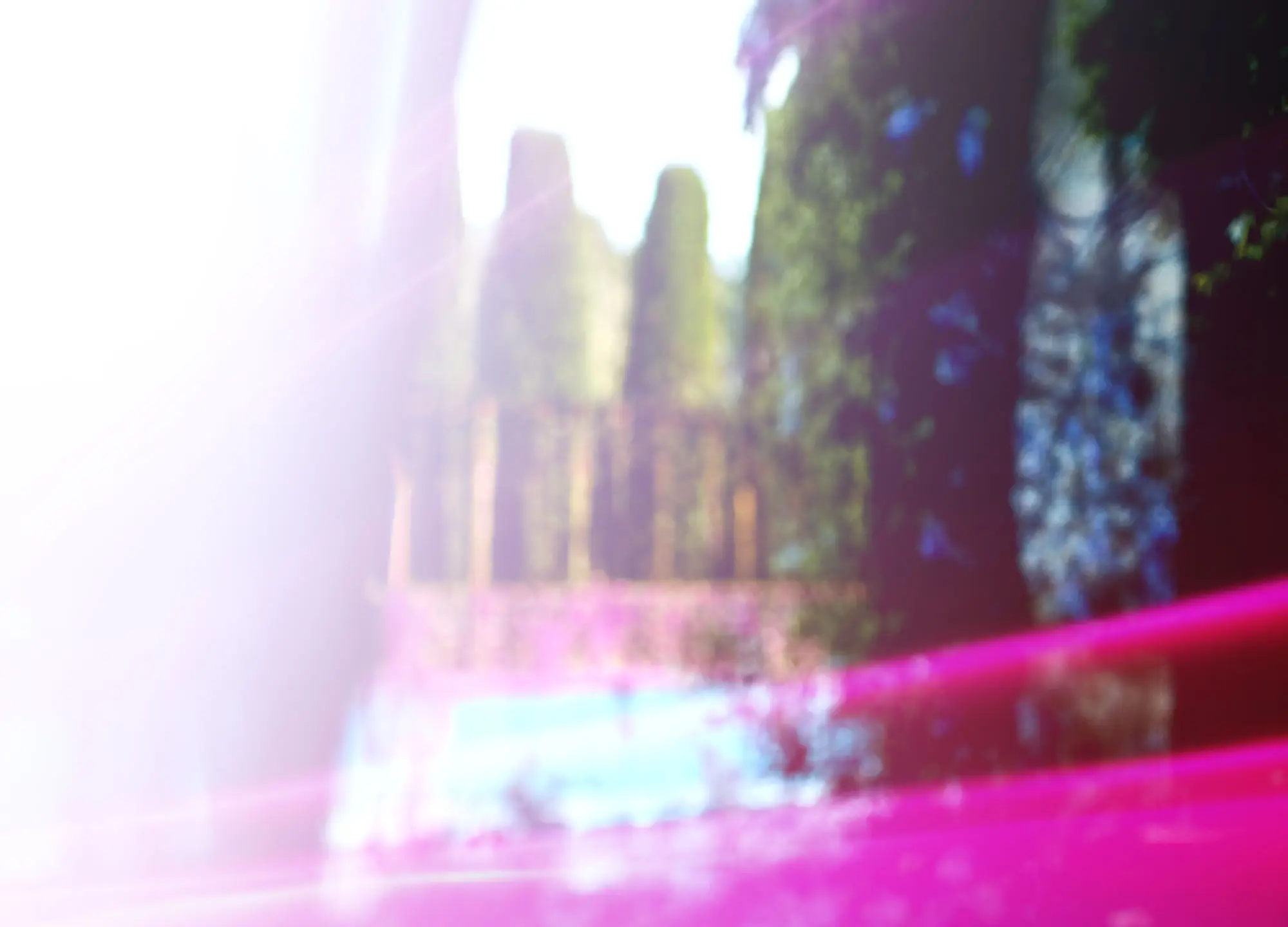 Abstract blurred image with bright light flare, showing green topiary trees, a fence, and a magenta foreground.